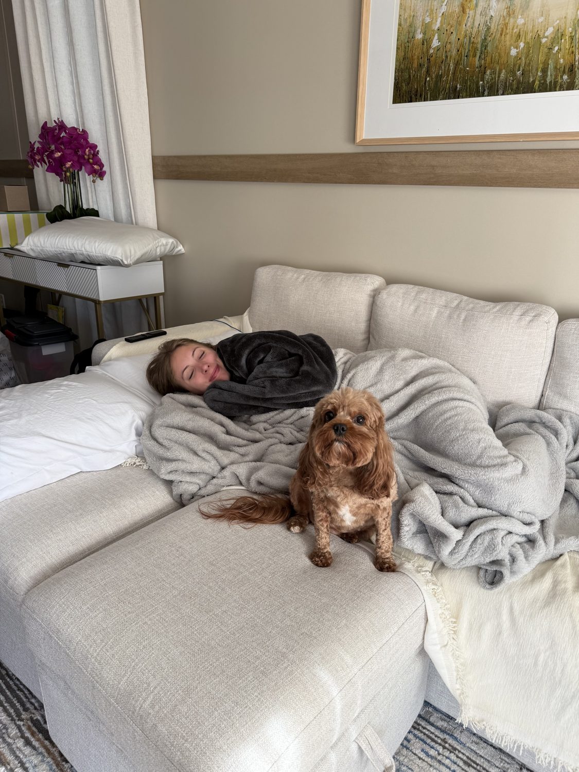 professional napper at work